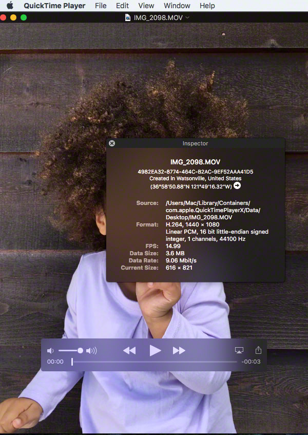 Live photo fcpx 2