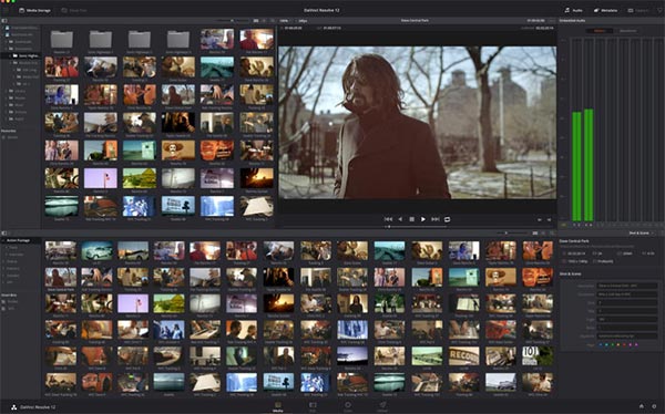 davinci resolve 12 update