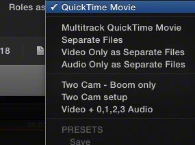 McC VR-06b-roles-export-options