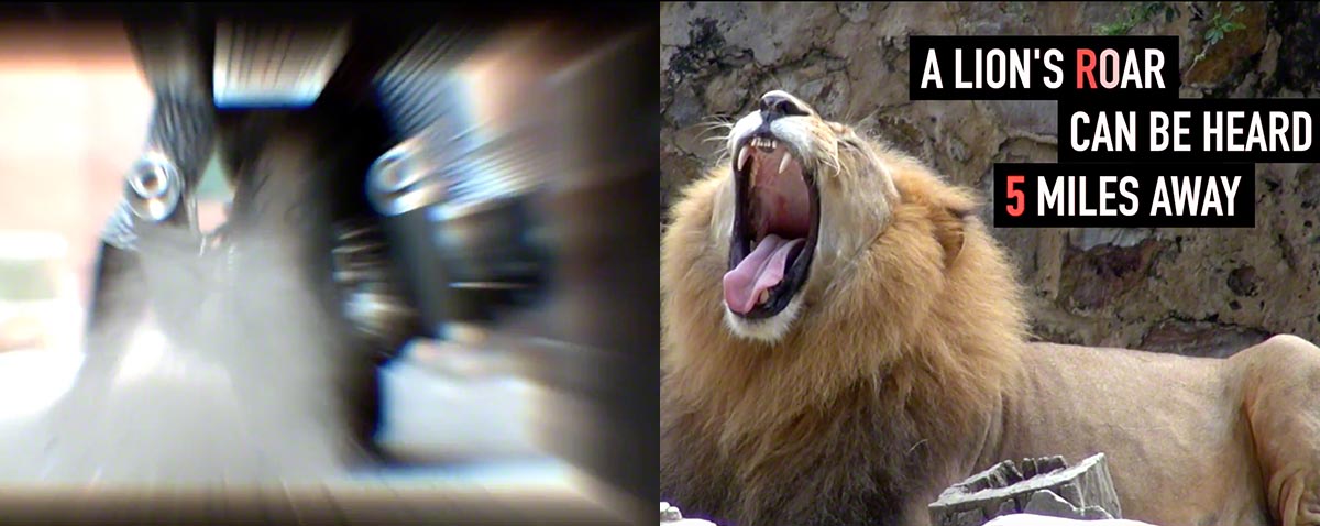 flux titlemations fcpx