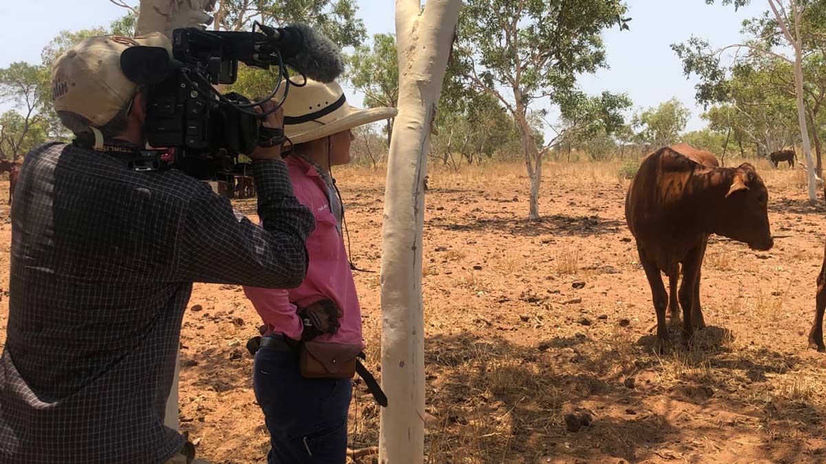 Visible Farmer FCPX 2 08