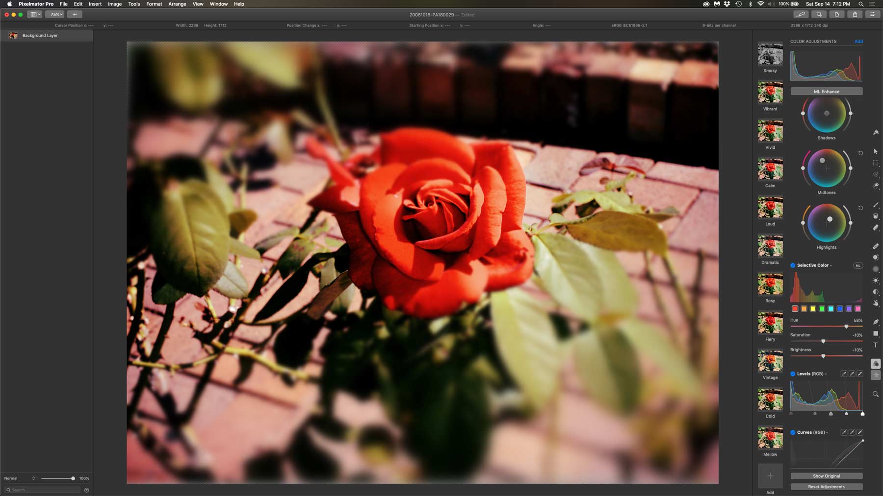 PixelmatorPro photoadjustment