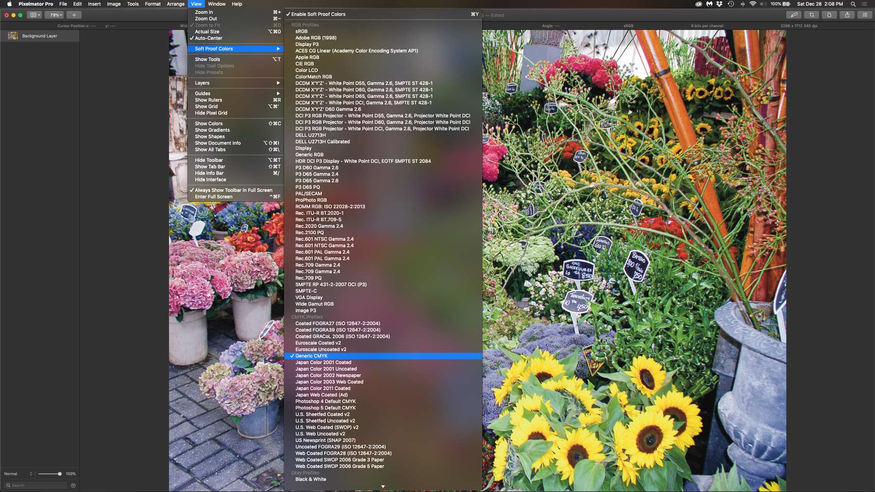 PixelmatorPro softproof