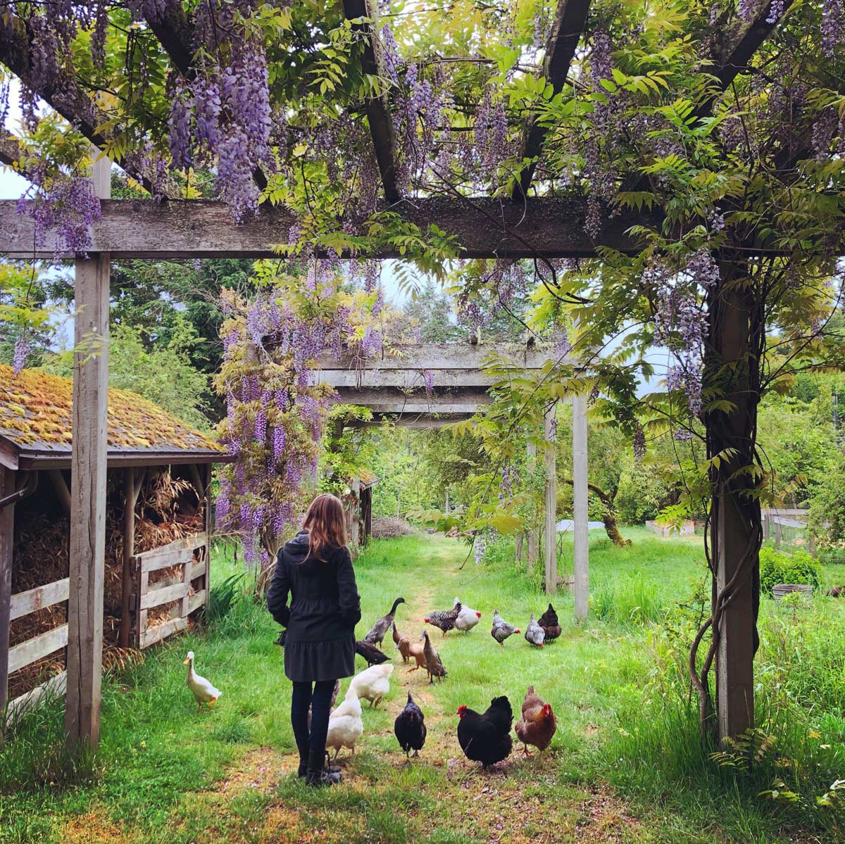 appleturnover farm may 2019